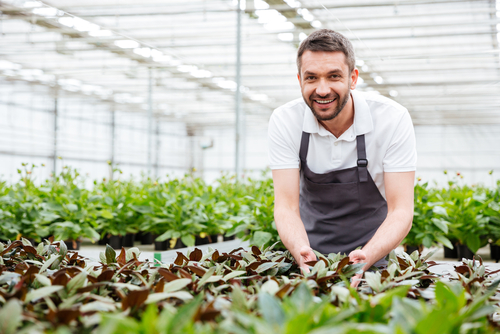 The List Of Best online courses in Horticulture Program with Certificate