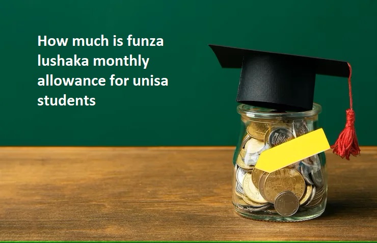 How Much is Funza Lushaka Monthly Allowance For Students 2024 ...